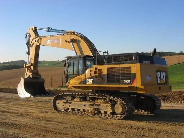 Cat 365 